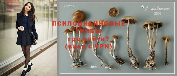 мдма Вяземский