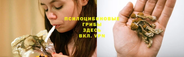 мдма Вяземский