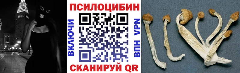 omg ONION  где купить   Лихославль  Псилоцибиновые грибы Psilocybine cubensis 